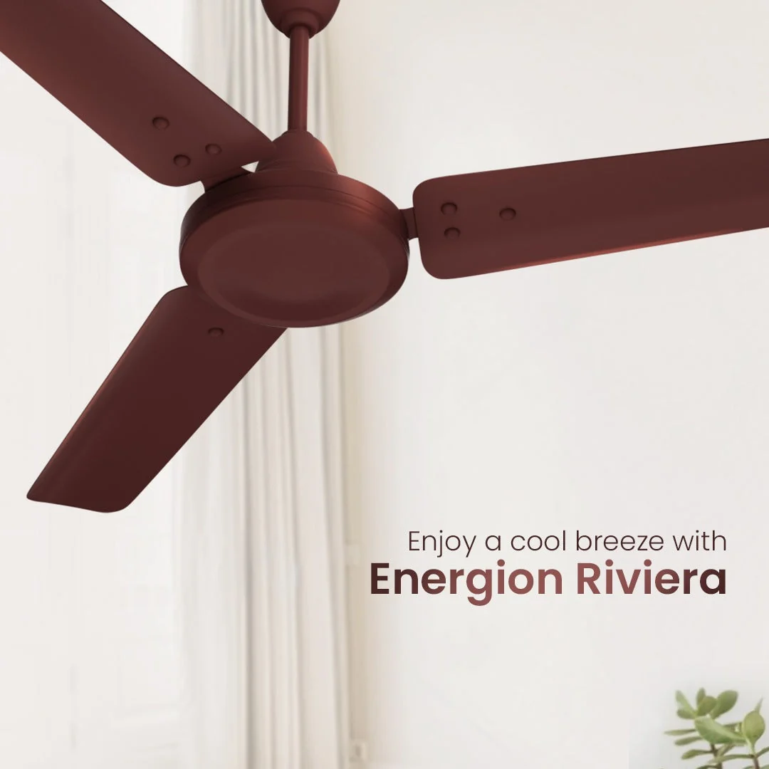 Energion Riviera Regulator BLDC Ceiling Fan G1