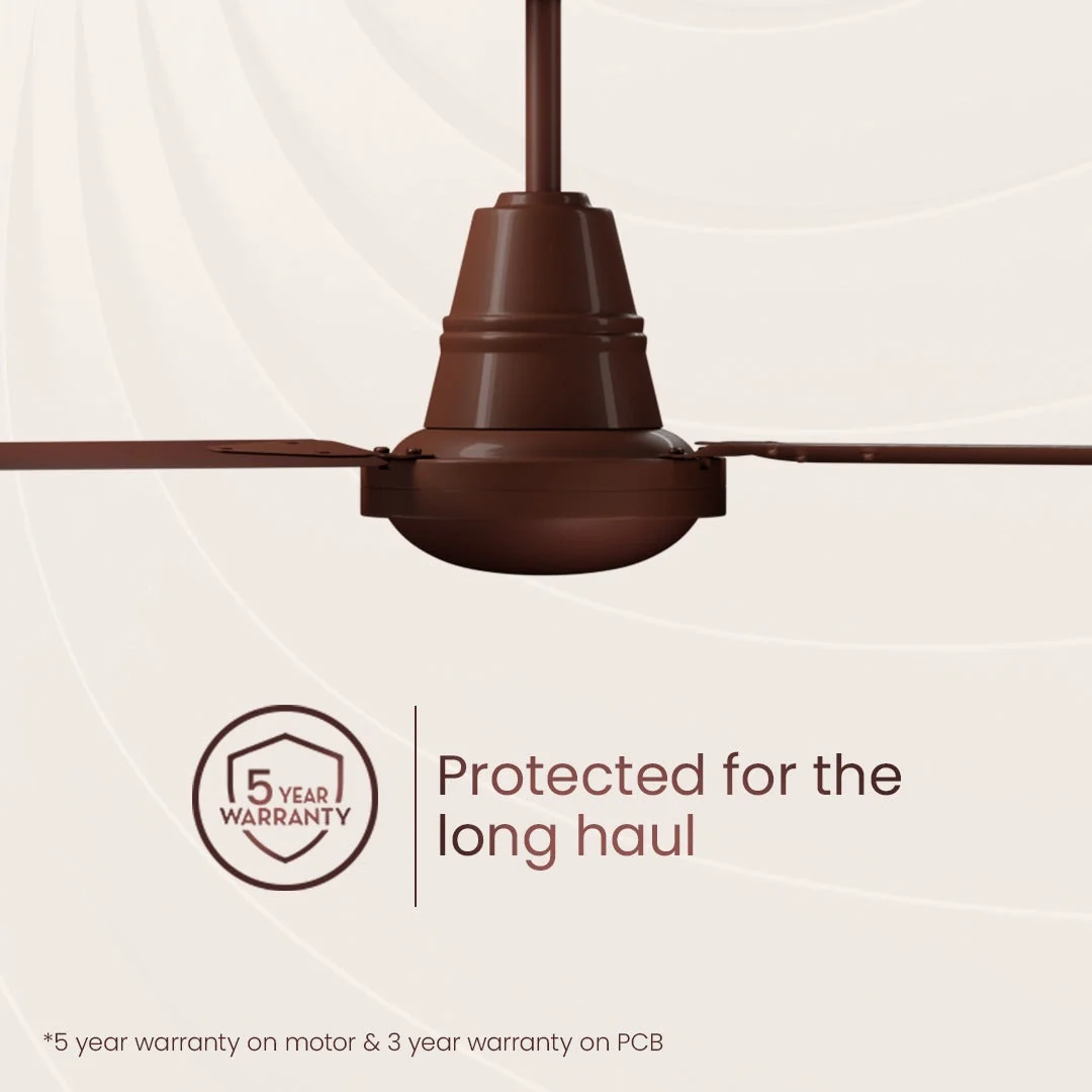 Energion Riviera Regulator BLDC Ceiling Fan G2