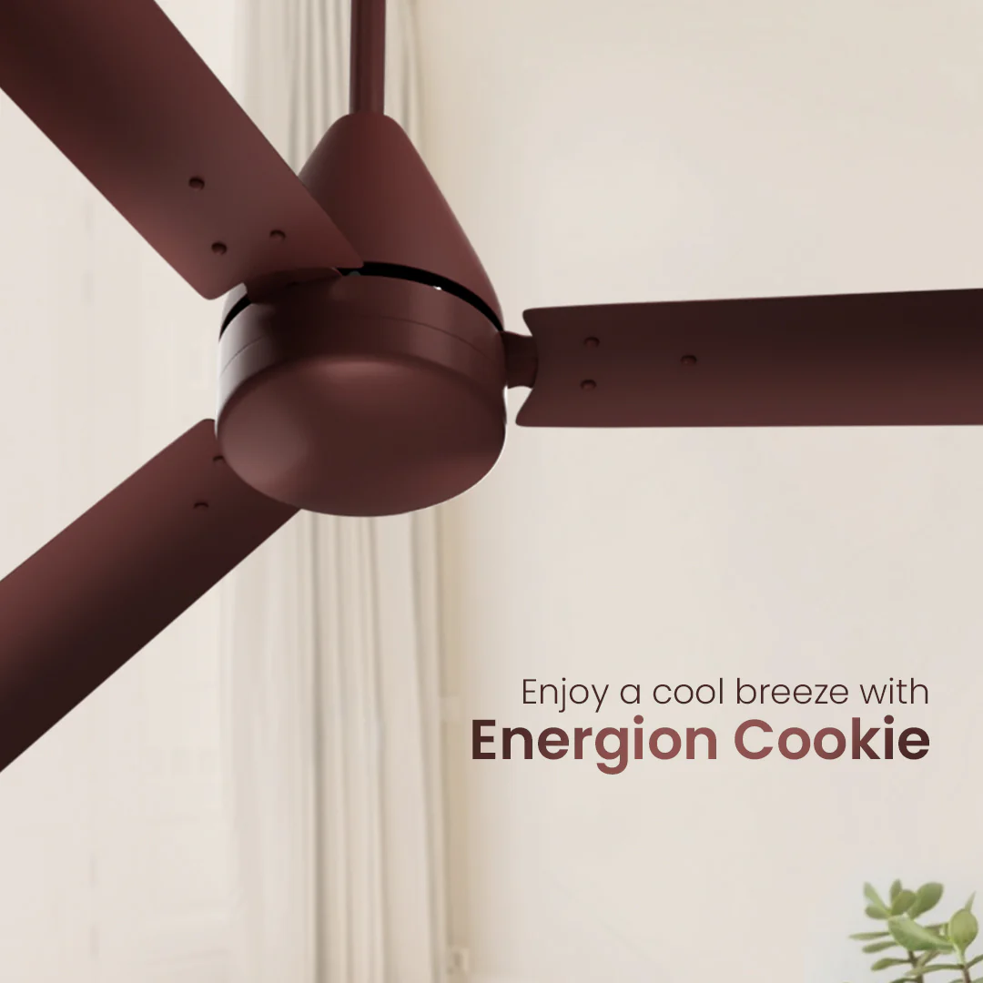 New Crompton Energion Cookie 1200mm G1